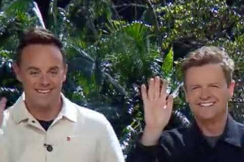 Ant and Dec ‘confirm’ return of massive TV gameshow during swipe at Stephen Mulhern