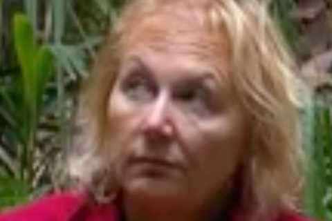 I’m A Celebrity fans are all saying the same thing about Sue Cleaver after spotting ‘sly look’