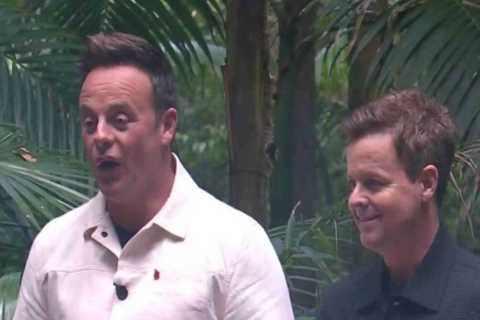 Ant and Dec reveal I’m A Celebrity twist leaving campmates stunned