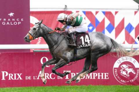 Superstar horse Alpinista forced into shock retirement days before tilt at £2.4million payday in..