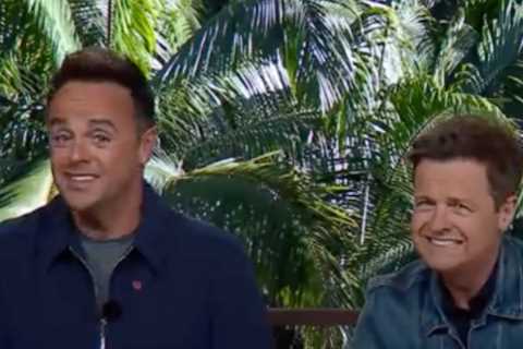 Ant and Dec take swipe at Matt Hancock and Rishi Sunak in first government gag of the series