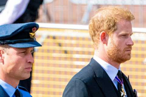 How old is Prince William and what is the age gap between him and Prince Harry?