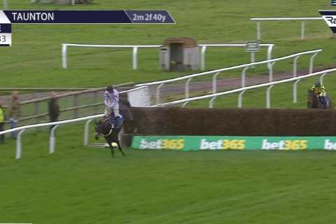 Punters in a state of shock as certain winner throws away victory with final-fence disaster