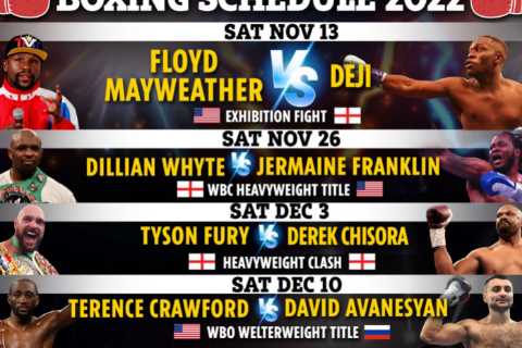 Boxing schedule 2022: Results, upcoming fights including Fury vs Chisora, Dillian Whyte fight,..