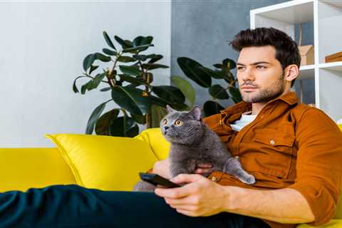 From a TV-obsessed cat to toilet-training rabbits — your pet queries answered