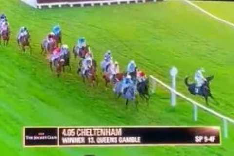 TV viewers left in shock as Williamstowndancer jumps rail at Cheltenham and sends Bryony Frost..