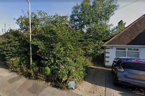 I was furious after my neighbour blocked my drive with pot plants in a 10-year row – now she’s..