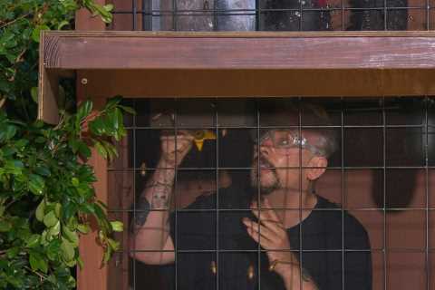 I’m A Celeb’s Boy George meditates during Bushtucker trial as singer chants while locked in..