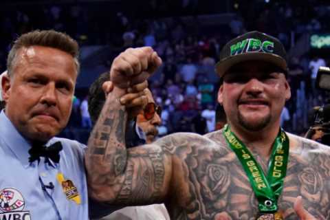 ‘I can take a punch’ – Andy Ruiz Jr not fazed by Deontay Wilder’s brutal power with American rivals ..