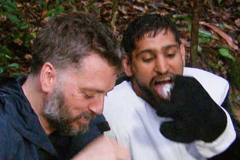 What was Strawberry Gate on I’m A Celebrity?