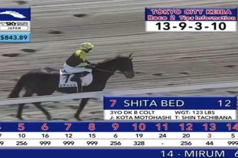 Racehorse with VERY X-rated name has the last laugh after 150-1 win
