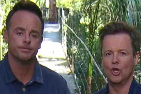 I’m A Celeb fans reveal theory that Ant and Dec are furious about Matt Hancock in the jungle