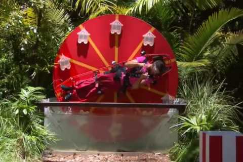 I’m A Celeb first look: Ant and Dec tell Owen off as he, Mike and Jill take on Scareground trial