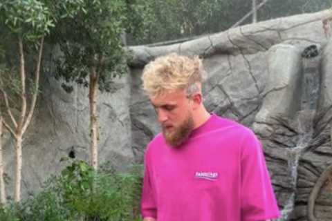 Jake Paul channels inner Mike Tyson by posing with TIGER on a lead as YouTuber’s fight against..