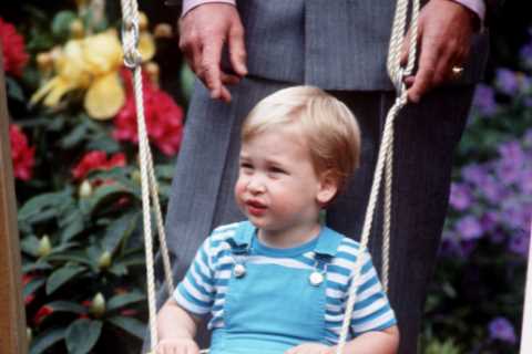 Prince William young pictures: What did the Prince of Wales look like as a child?