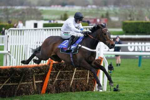Bookies think Constitution Hill will swerve Fighting Fifth as ‘brilliant’ Honeysuckle starts road..