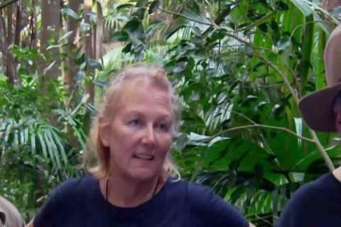 I’m A Celebrity fans have ‘worked out’ why Boy George, Chris Moyles and Sue Cleaver were saved in..
