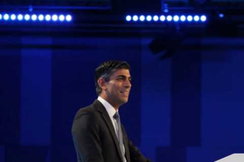 Rishi Sunak slaps down Jeremy Hunt by rejecting new deal with Brussels that ‘relies on Britain..