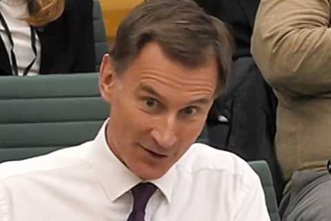 Jeremy Hunt insists he does NOT back rejoining EU’s single market after Tory backlash over new deal ..