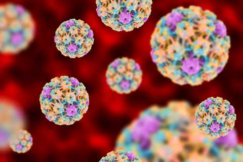 Urgent warning as millions of women at risk of silent killer cancer – the 4 signs you must know