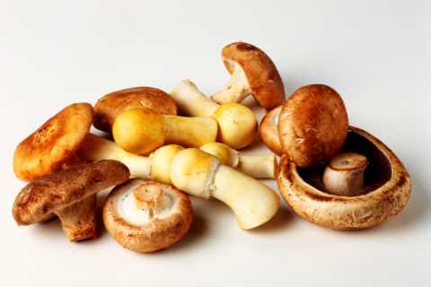 ‘Superfood’ vegetable can help stave off cancer, diabetes and Alzheimer’s
