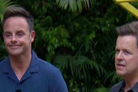 Ant McPartlin takes swipe at I’m A Celebrity’s Chris Moyles over his attitude