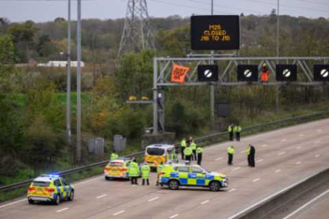 Just Stop Oil ringleader boasted that he had been arrested 22  times