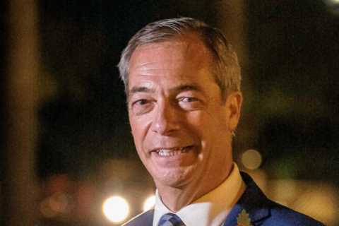 Nigel Farage holds secret talks with Tory Red Wall MPs as he plots political comeback