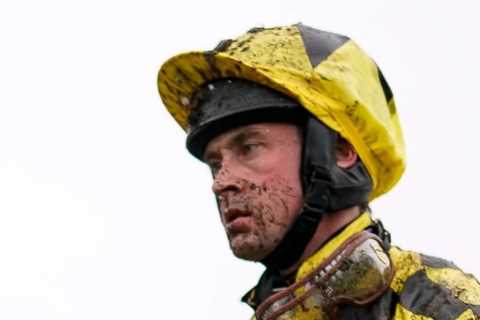Shishkin favourite for blockbuster Betfair Tingle Creek return with all roads leading to Champion..