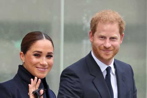 What to expect from Meghan Markle and Prince Harry’s £88million Netflix TV documentary as it airs..