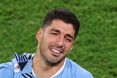 Man Utd legend Patrice Evra revels in Luis Suarez’s World Cup misery as he LIKES snap of old..