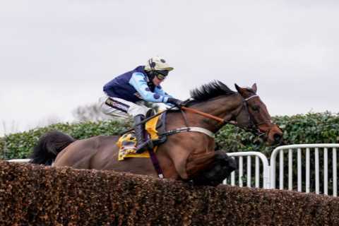 Edwardstone cruises to Tingle Creek victory and now as short as 11-4 for the Champion Chase at..