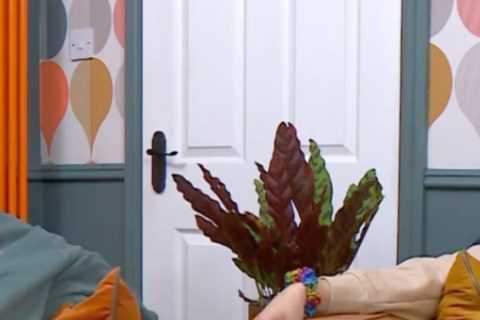 Gogglebox’s Ellie Warner reveals ‘wedding plan’ with boyfriend Nat