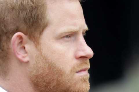 Prince Harry betrayed King and country for a fistful of Netflix dollars, says leading author Tom..