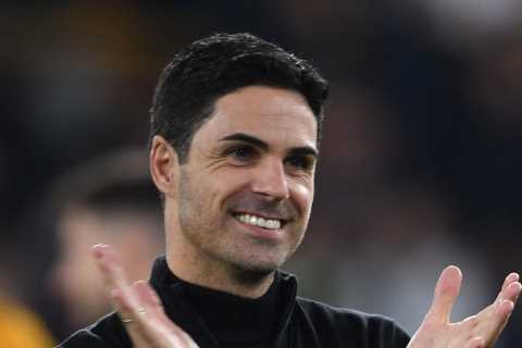 Arsenal have £50m transfer budget to spend in January but will NOT target new striker despite..