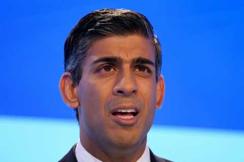 Rishi Sunak hails new energy deal with US to ensure supplies can’t be manipulated by ‘a failing..