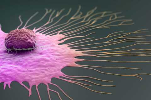 ‘Landmark’ breast cancer treatment shrinks tumours and can slow illness for thousands of patients