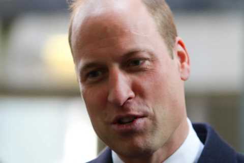 Heartbreak for Prince William as friend he ‘loved &amp; admired’ dies in plane crash