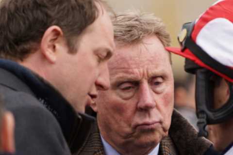 Harry Redknapp hopes he can fulfil his dreams this year with Cheltenham winner and World Cup glory..
