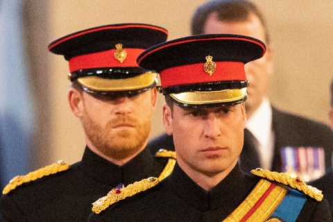Prince William ‘infuriated’ with Prince Harry after brother disobeyed his request in bombshell..