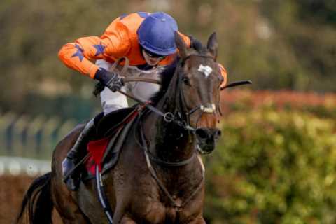 Templegate reveals 10-1 Christmas cracker begging to be backed in gruelling Welsh Grand National at ..