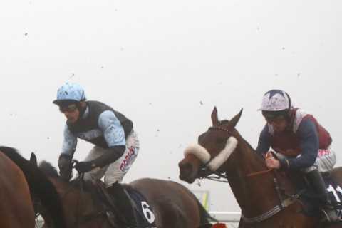 Punters share clever idea for racing at Ascot to go ahead this weekend even as ice and snow forces..