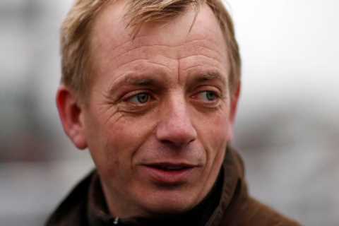 ‘I think about them every day’ – heartbroken horse trainer still coming to terms with deaths of two ..