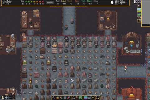 Dwarf Fortress: Tips for beginners