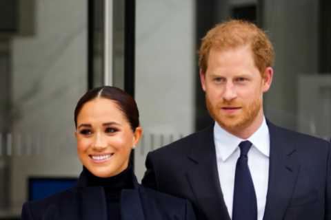 ‘Dutiful, insecure’ Prince Harry and ‘ambitious, self-obsessed’ Meghan Markle are a ‘volatile..