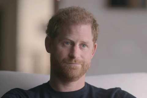 Telling Netflix doc moment shows how Prince Harry feels about his brother Prince William, body..