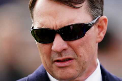 ‘Irreparable damage’ – Aidan O’Brien tells Matt Chapman ‘shocking’ new whip rules may be death..