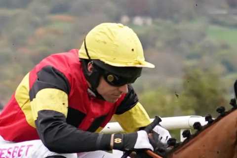 Champion Hurdle hope Knight Salute likely to miss rest of season after ‘severe’ setback, reveals..