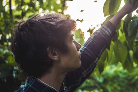 Britain will open borders to 45,000 foreign fruit pickers despite millions of Brits claiming out of ..