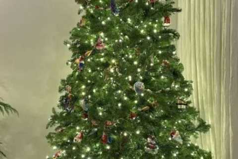 Kylie Jenner shows off ‘modest’ Christmas tree after dropping jaws with over-the-top light display..
